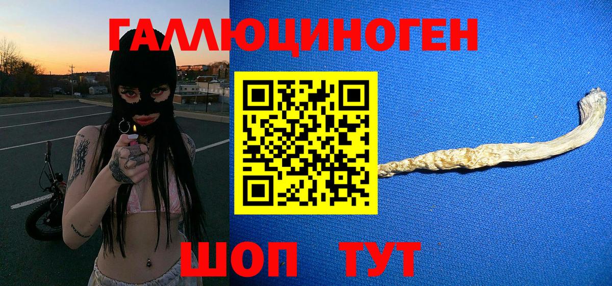 Галлюциногенные грибы Cubensis Мончегорск