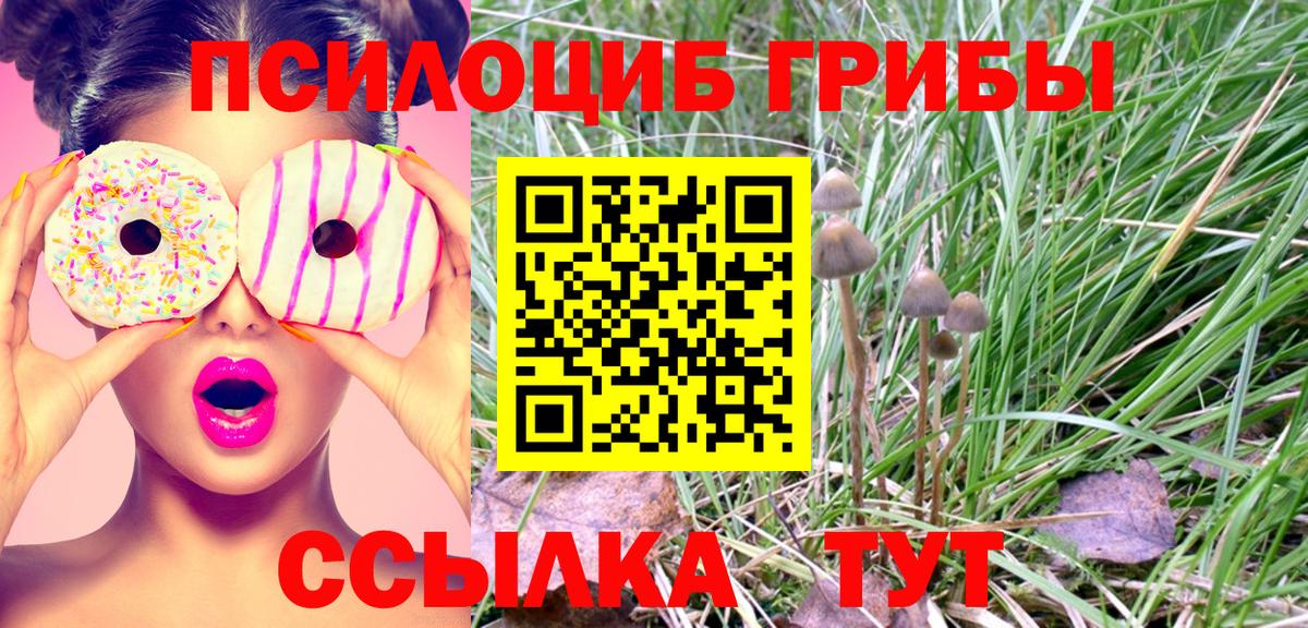 Галлюциногенные грибы прущие грибы  Вход с VPN  Мончегорск 